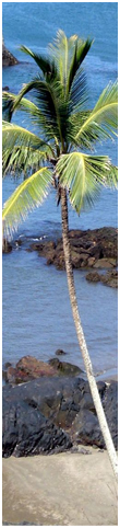 Goa  Vacations - Goa 